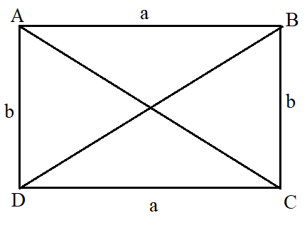 Rectangle - www.numeberbau.com